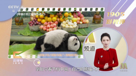 久久国产精品视频观看